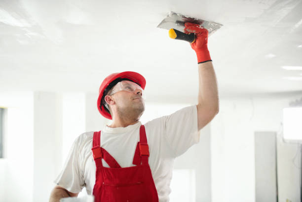 Best Ceiling Drywall Installation  in Brocton, NY